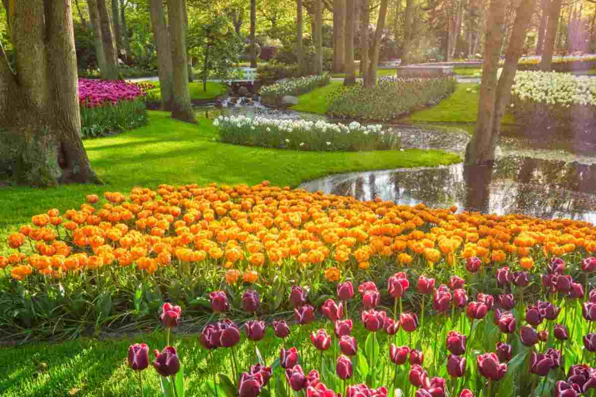 keukenhof cosa vedere e fare