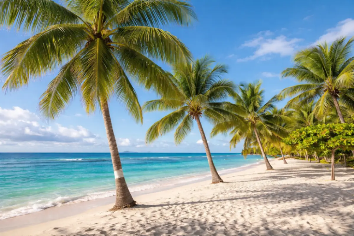 barbados meta mare migliore 2026